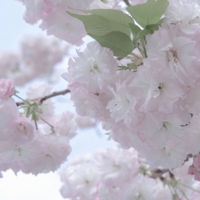 Furry插画光影灵感兽圈社群